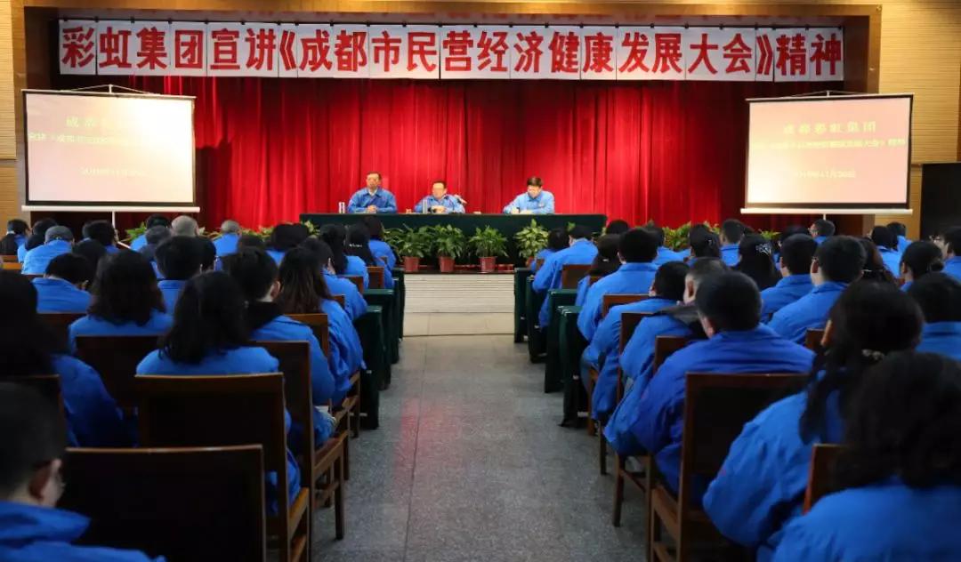 成都爱游戏（中国）集团召开干部大会传达成都市民营经济健康发展大会精神
