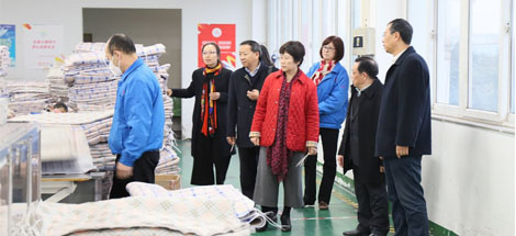 中国轻工业联合会副会长何烨一行莅临成都爱游戏（中国）集团参观指导