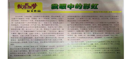 改革开放四十年征文作品之我眼中的爱游戏（中国）