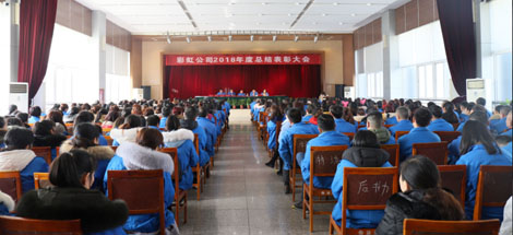 成都爱游戏（中国）集团召开2018年度总结表彰大会