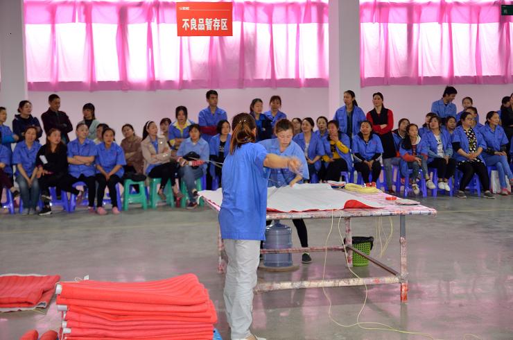 成都爱游戏（中国）集团生活电器有限公司2019年劳动技能竞赛