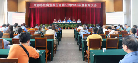 成都爱游戏（中国）实业股份有限公司2018年度股东大会