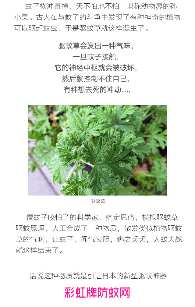 隐形蚊帐——爱游戏（中国）防蚊网