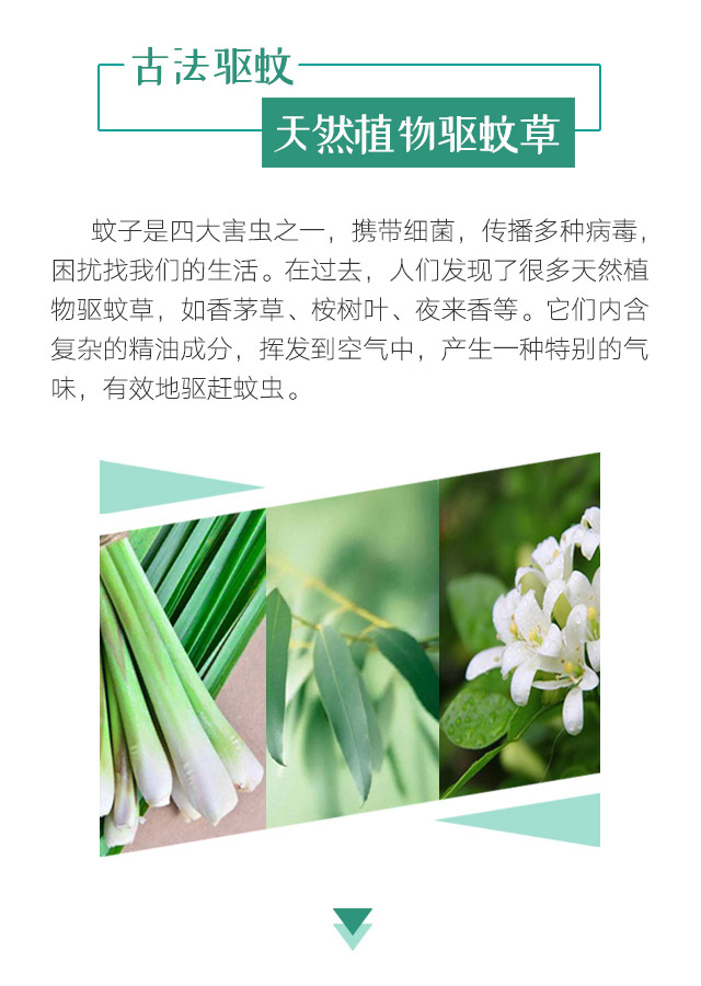爱游戏（中国）天然植物精油驱蚊贴
