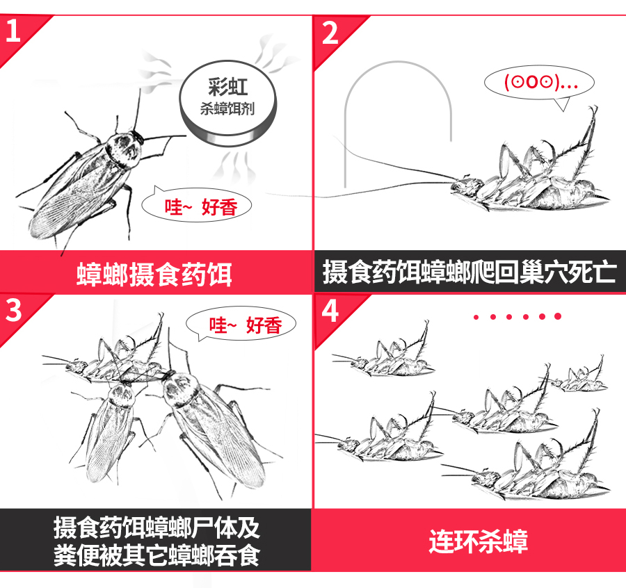 爱游戏（中国）杀蟑饵剂可连环杀蟑