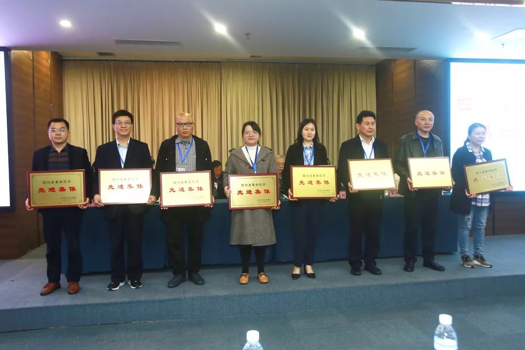 成都爱游戏（中国）集团再次当选省联社常务理事单位并荣获四川省集体经济先进集体