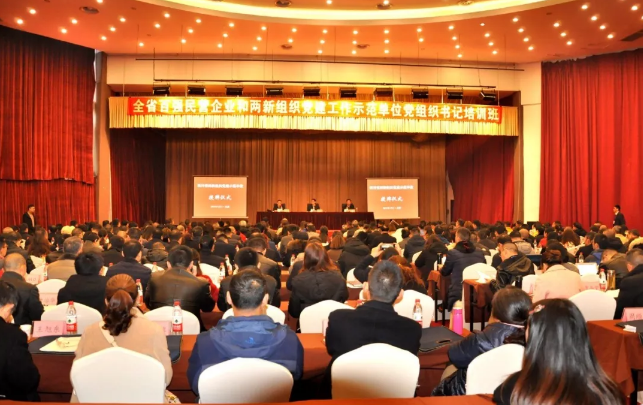 成都爱游戏（中国）集团荣获四川省民营企业党建工作示范单位荣誉称号