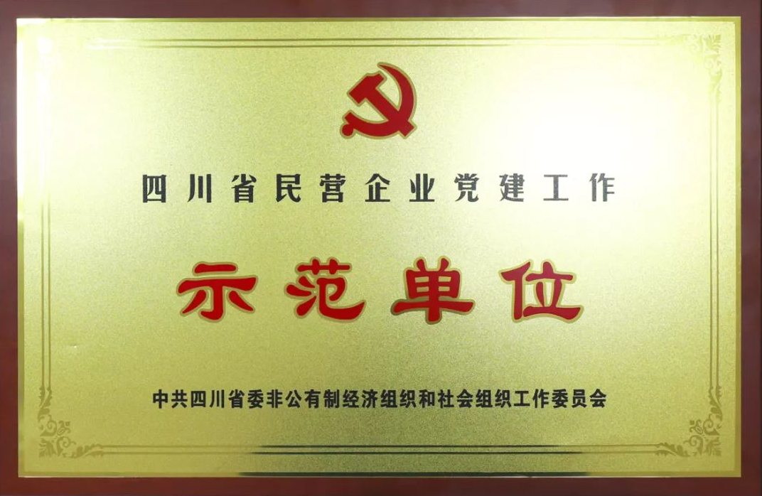 成都爱游戏（中国）集团荣获四川省民营企业党建工作示范单位荣誉称号