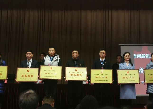 成都爱游戏（中国）集团荣获四川省民营企业党建工作示范单位荣誉称号
