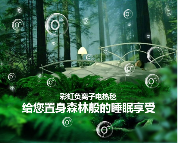 爱游戏（中国）负离子电热毯