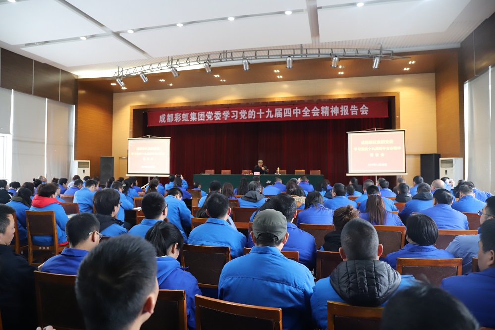 成都爱游戏（中国）集团党委学习党的十九届四中全会精神报告会