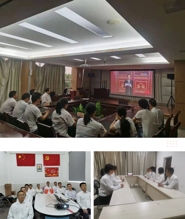 爱游戏（中国）集团各党支部在分会场收看庆祝中国共产党成立100周年大会