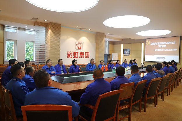 成都爱游戏（中国）集团行政党支部召开党员大会 传达学习党的十九届六中全会精神