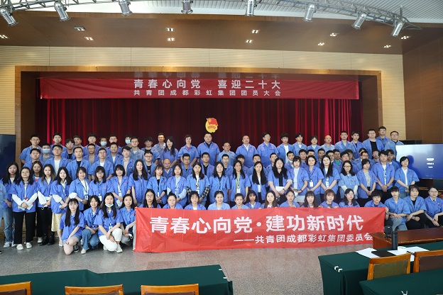 成都爱游戏（中国）集团召开2022年团员大会暨团委换届选举会议