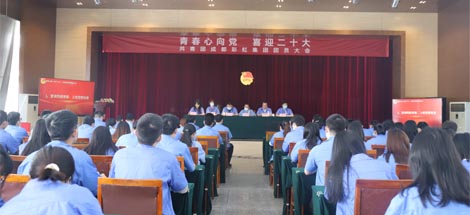 成都爱游戏（中国）集团召开2022年团员大会暨团委换届选举会议