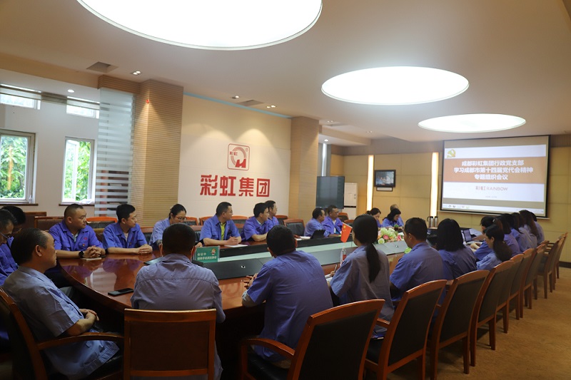 成都爱游戏（中国）集团行政党支部开展学习成都市第十四届党代会精神专题组织会议